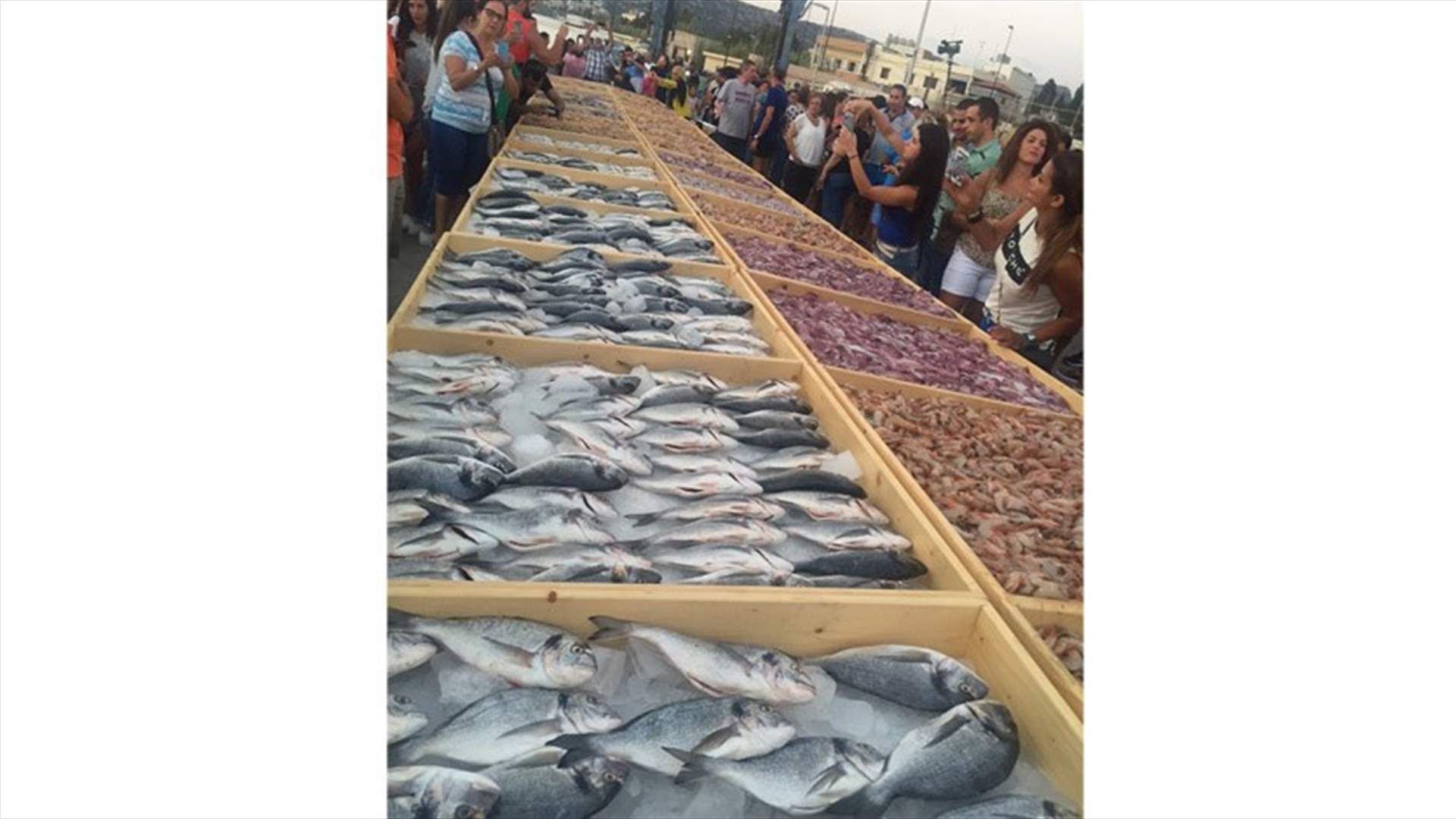 من جديد....البترون تدخل غينيس بأكبر عرض للمأكولات البحرية