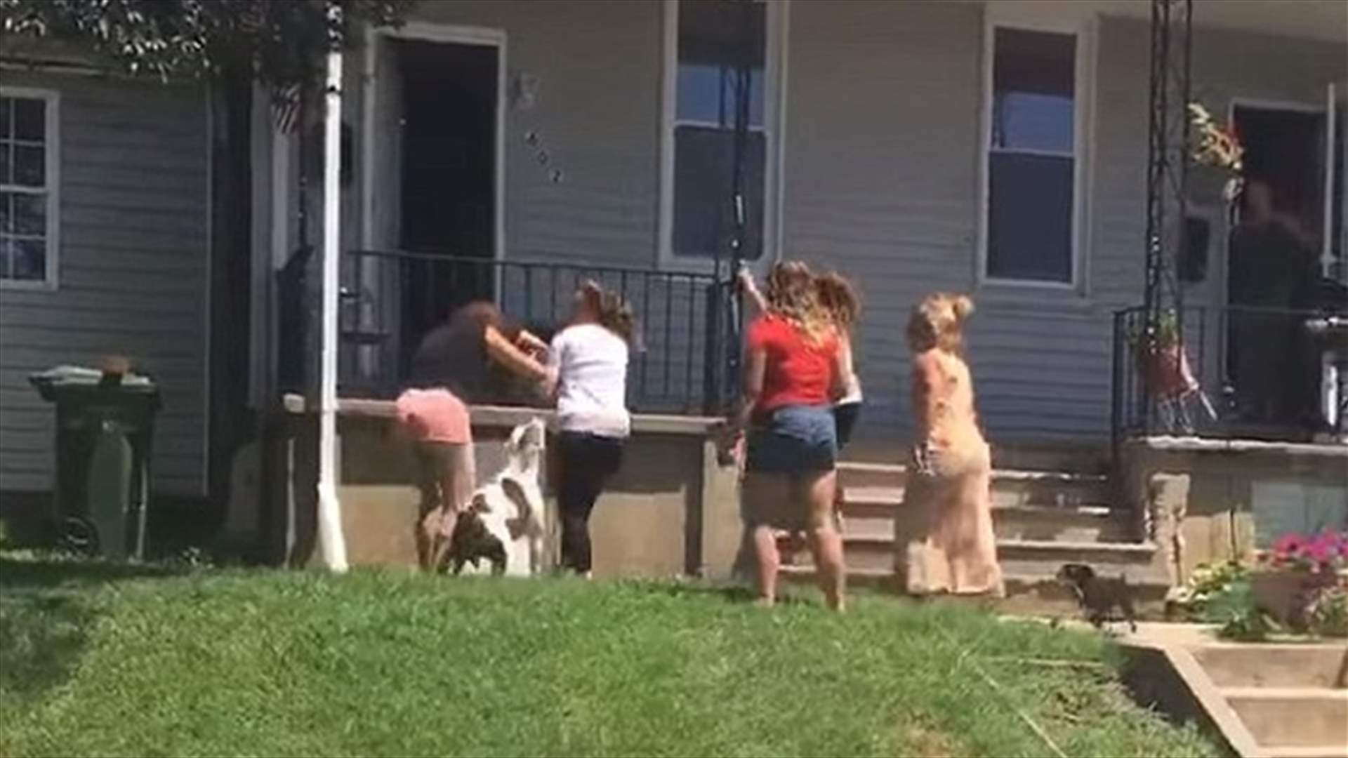بالفيديو: عراك بين 6 نساء... والكلاب تتدخل!