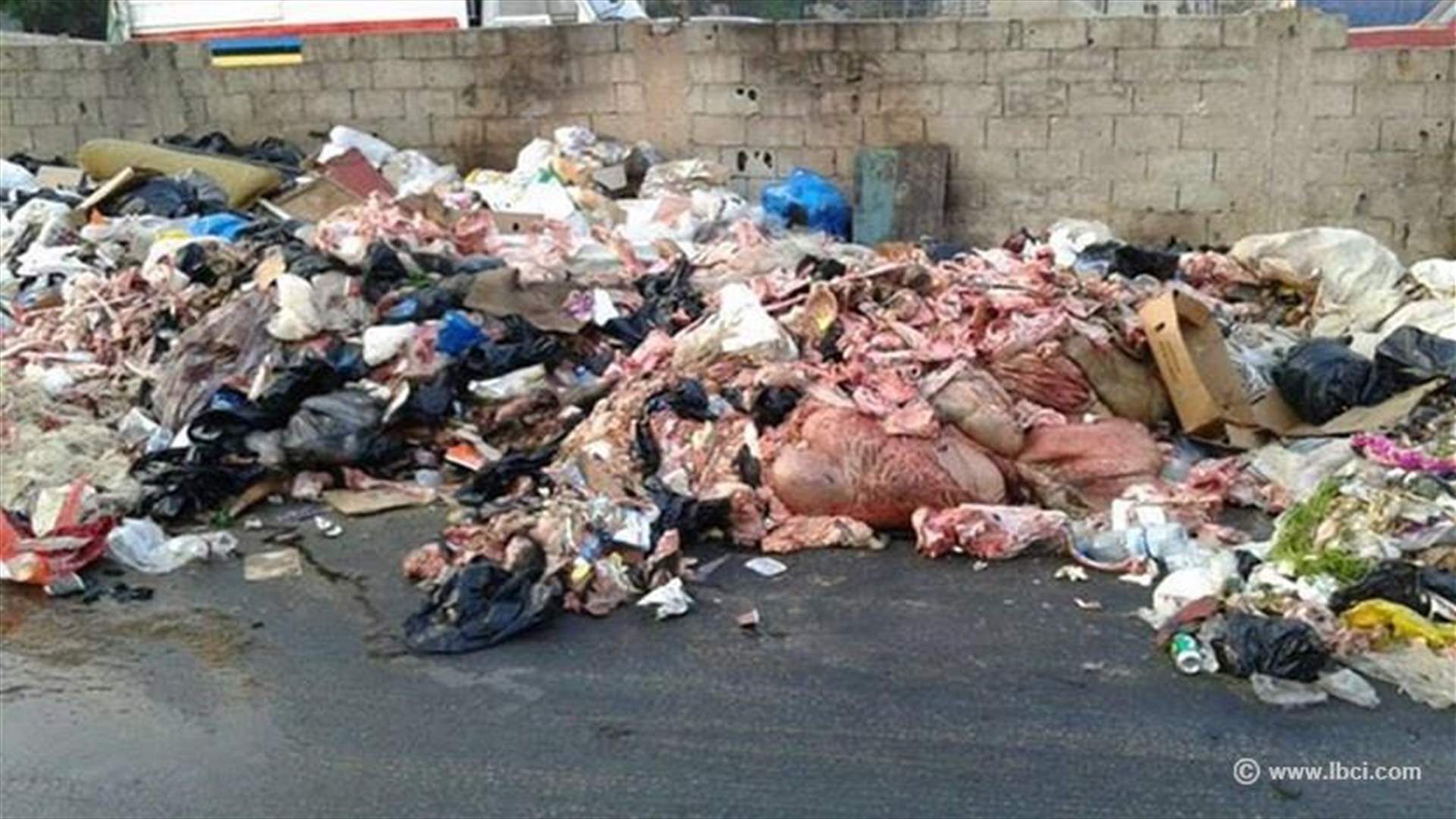 بالصور- بقايا المواشي المذبوحة بشوارع صبرا... من المسؤول؟