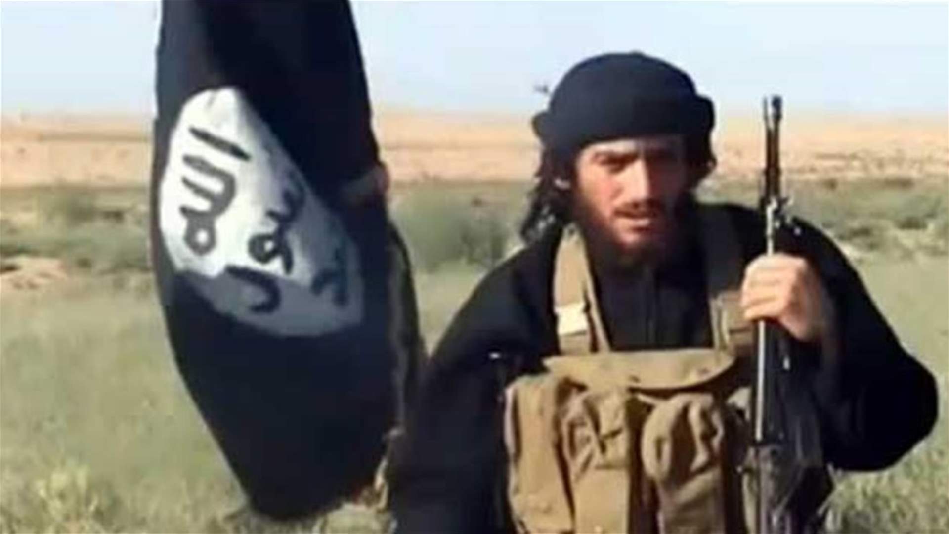 واشنطن تؤكد مقتل العدناني في غارة اميركية