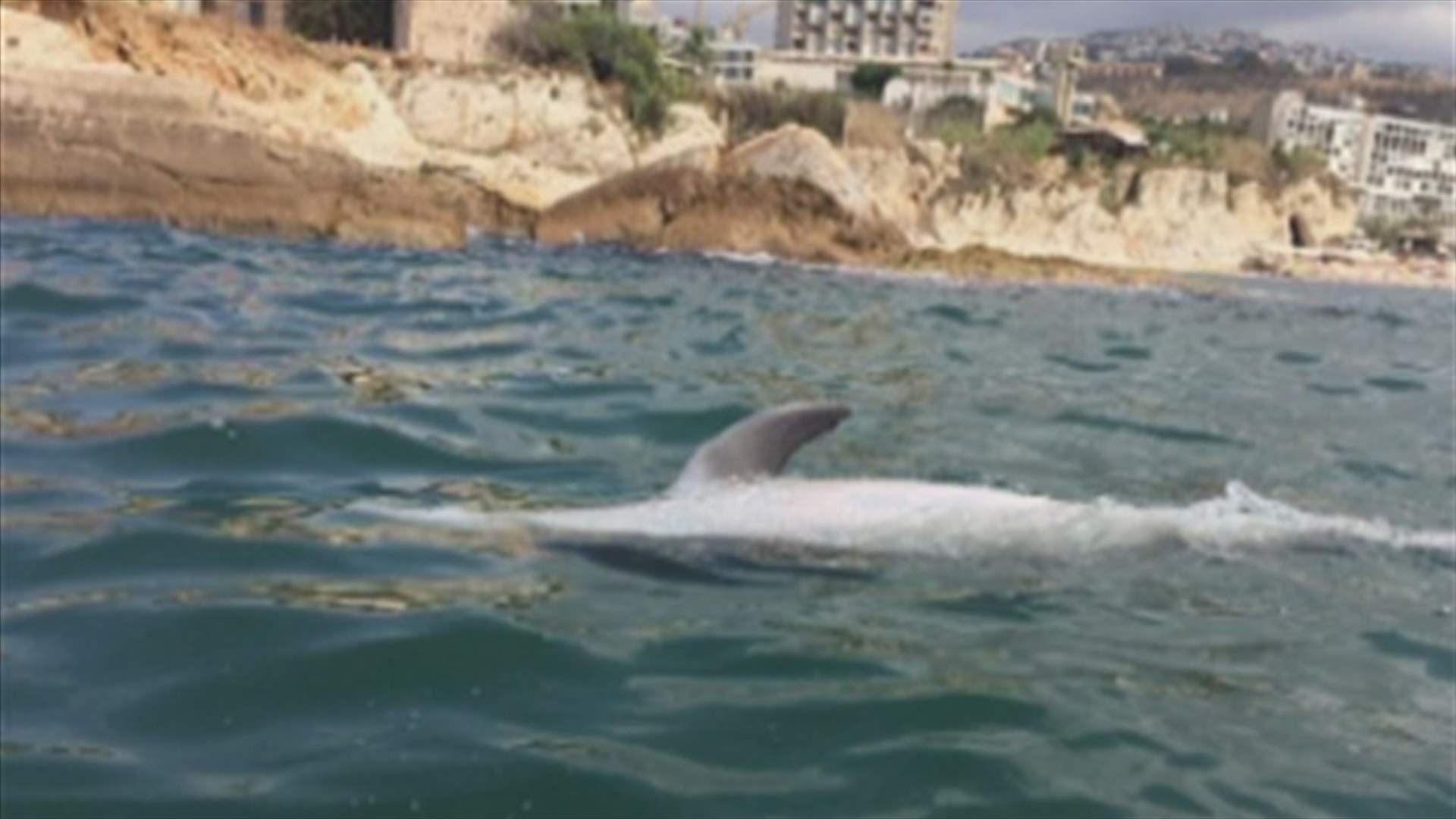 ماذا يحصل في المياه اللبنانية؟