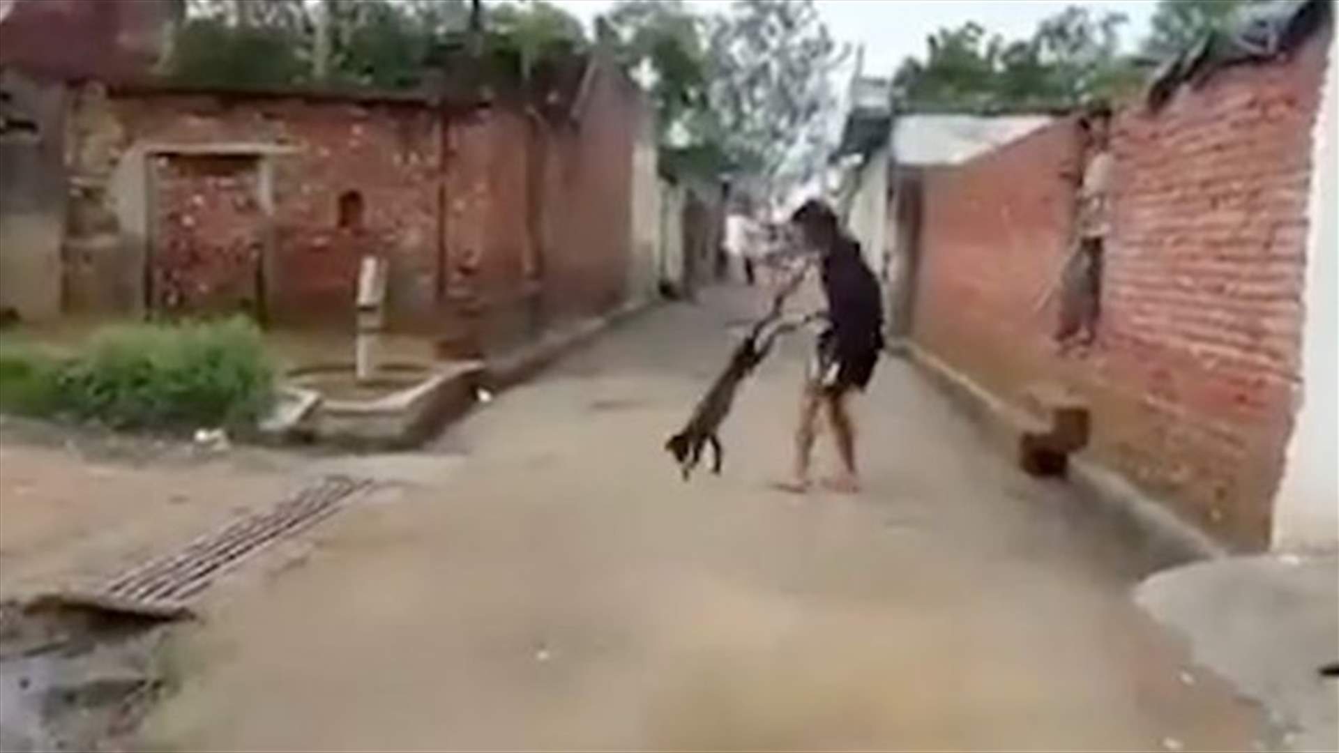 فيديو مروّع لرجل يعذّب كلباً بدمٍ باردٍ