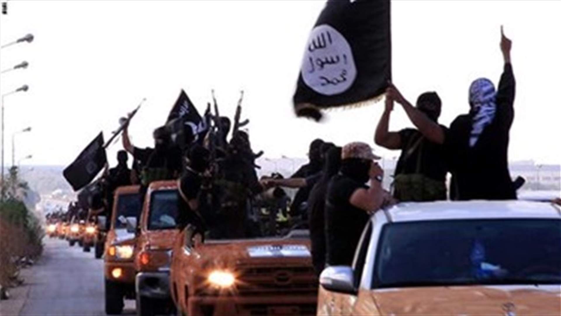 Syrian warplane downed during operation against Islamic State -army