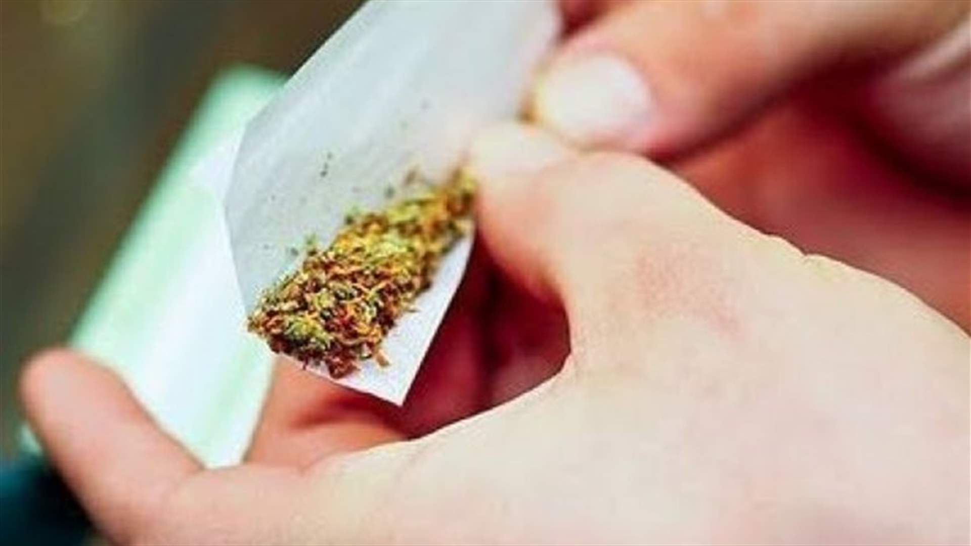 Army seizes 470 kilograms of hashish
