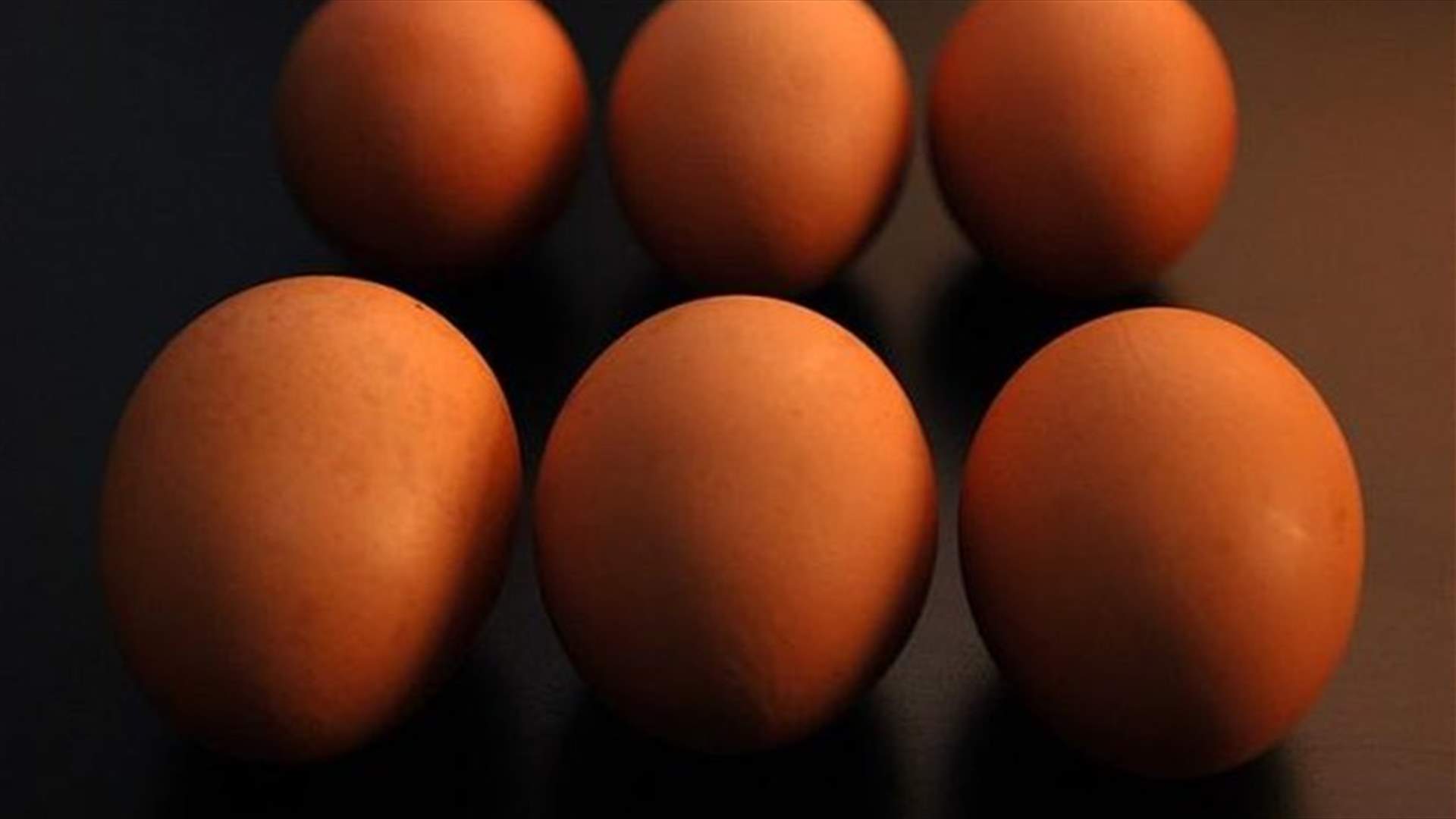 هل يجب تخزين البيض في البراد أم لا؟