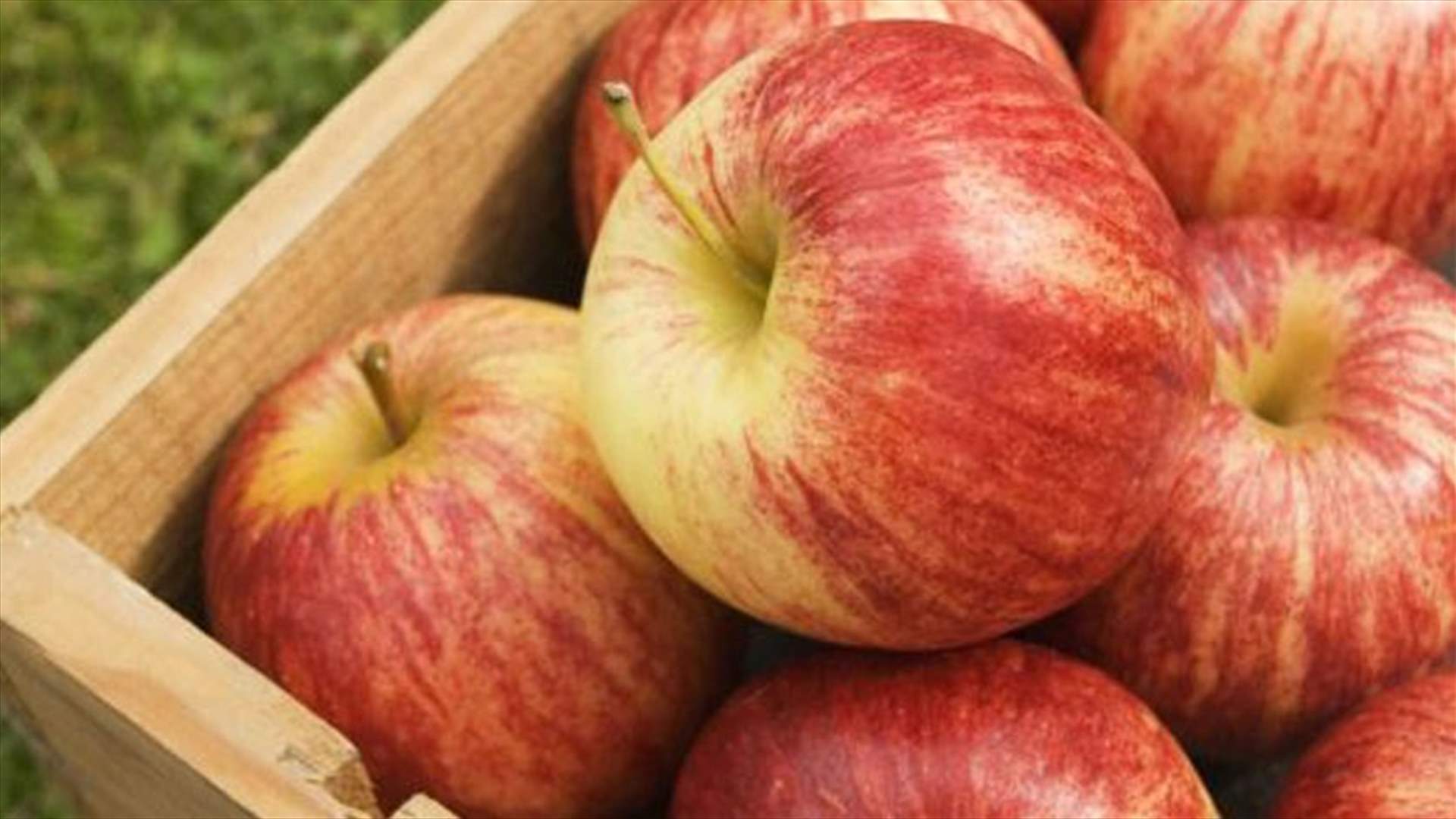 تحرك لمزارعي التفاح... في تنورين