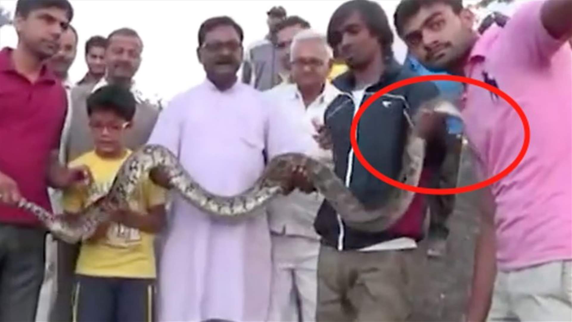 بالفيديو - رجل يحاول التقاط "سيلفي" مع ثعبان ضخم... والنتيجة؟