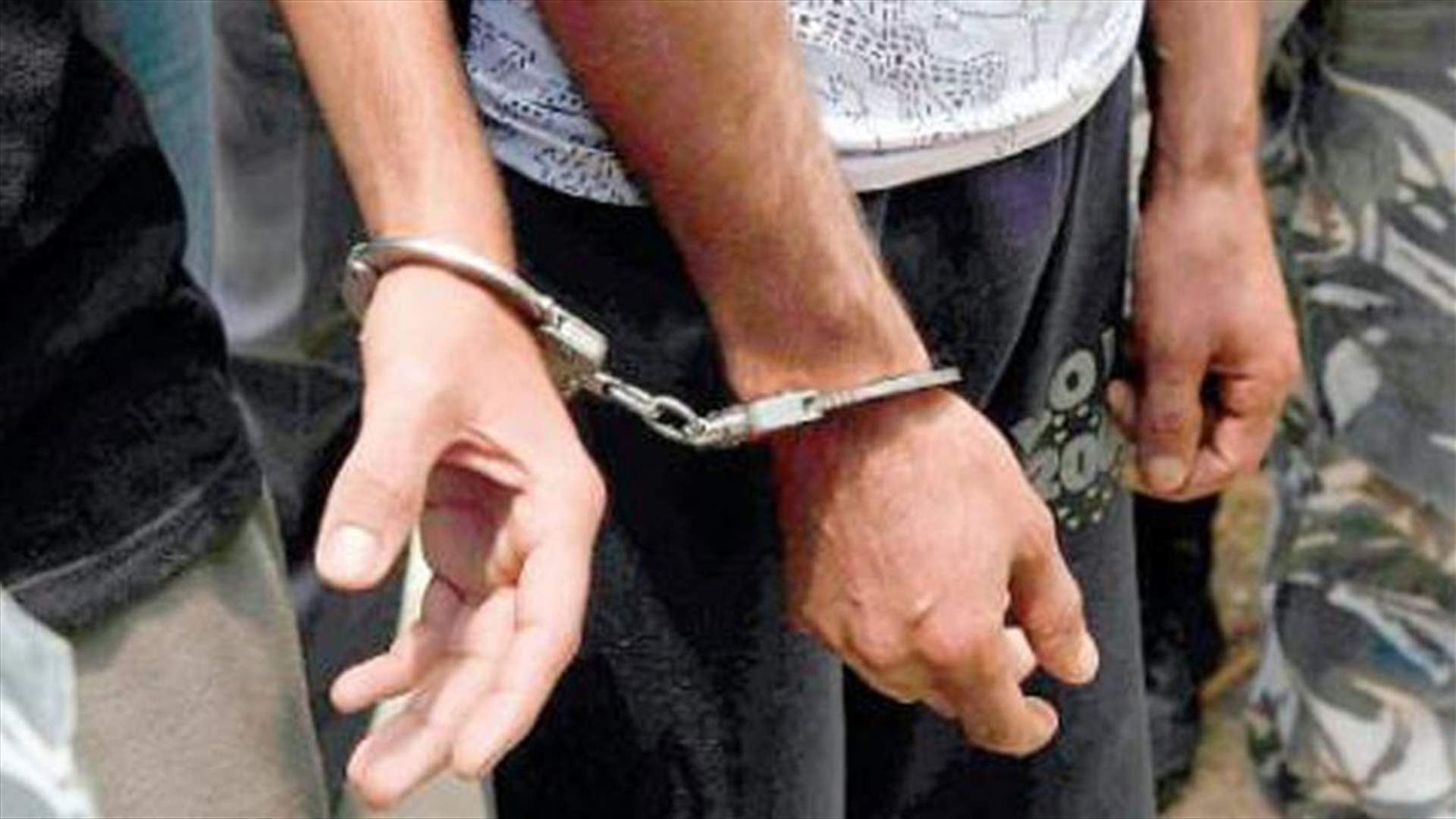 Two Palestinians turn themselves in to army Intelligence in South Lebanon