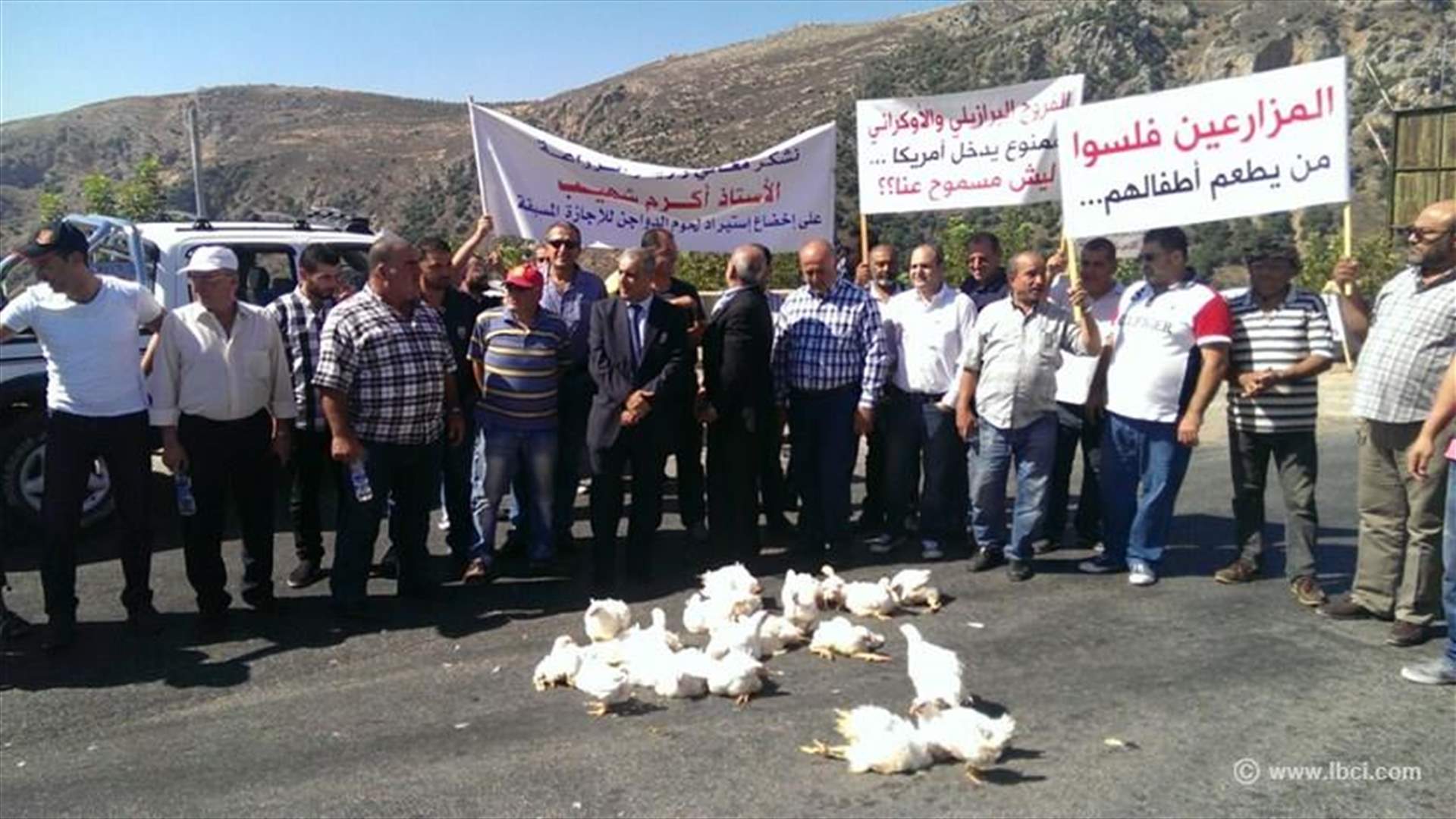 بالصور - اعتصام لأصحاب مزارع الدجاج في الجنوب