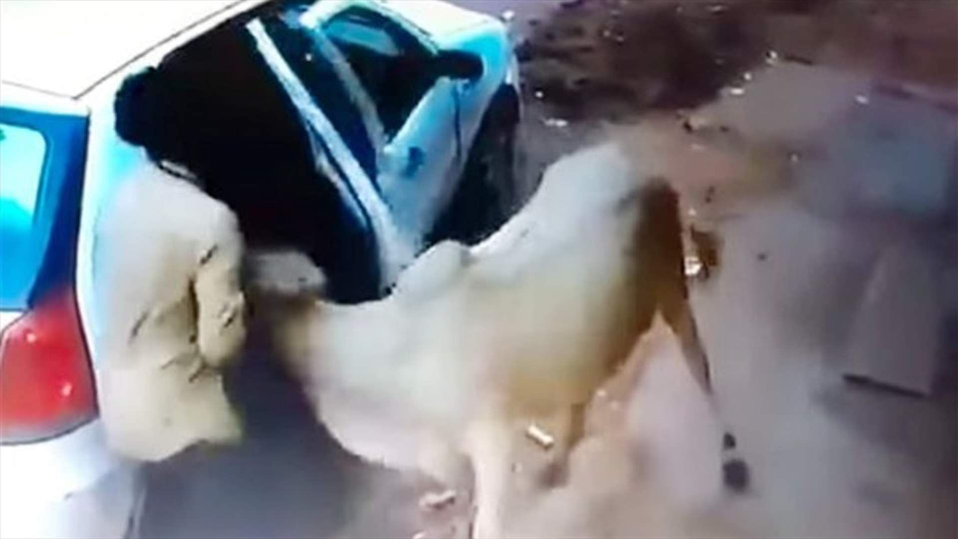 بالفيديو: أغرب عمليّة سرقة على الإطلاق!
