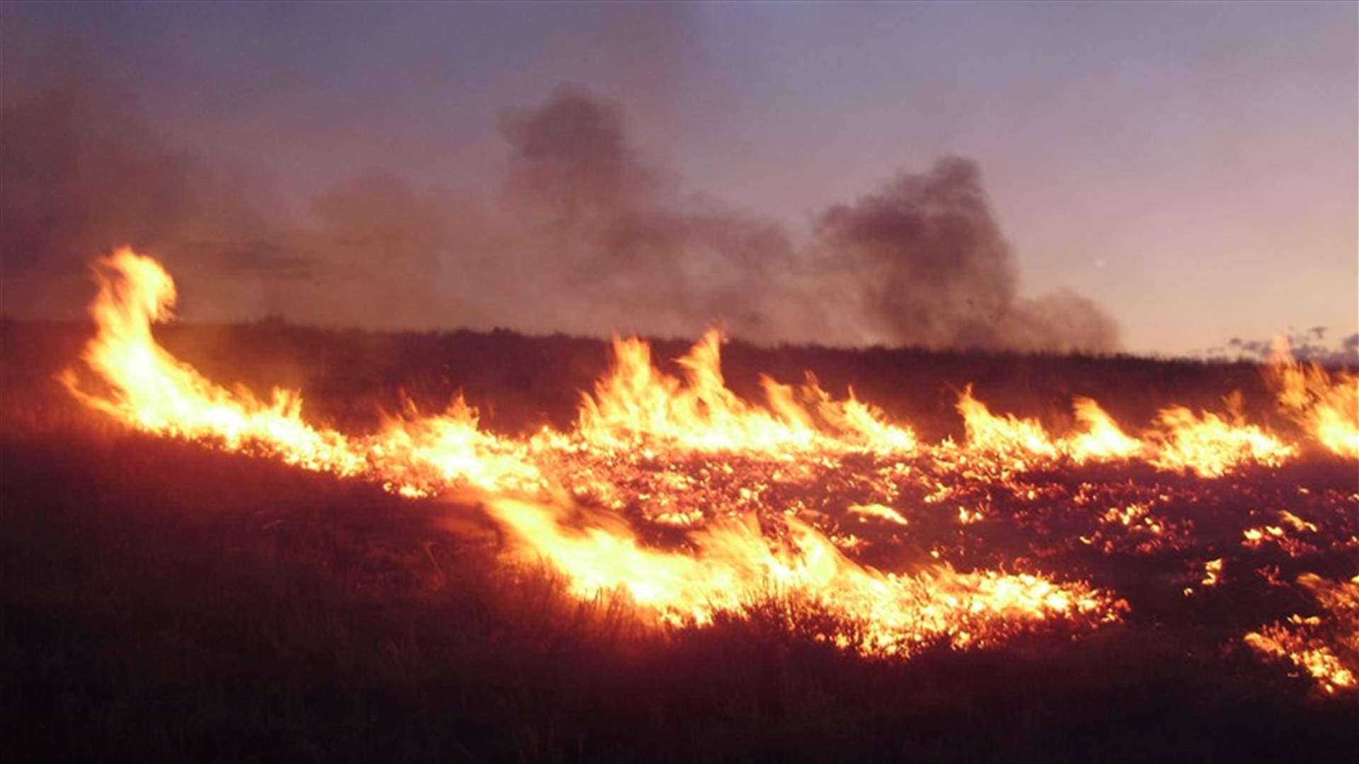 حرائق الغابات تحرق 22 منزلا في نيفادا
