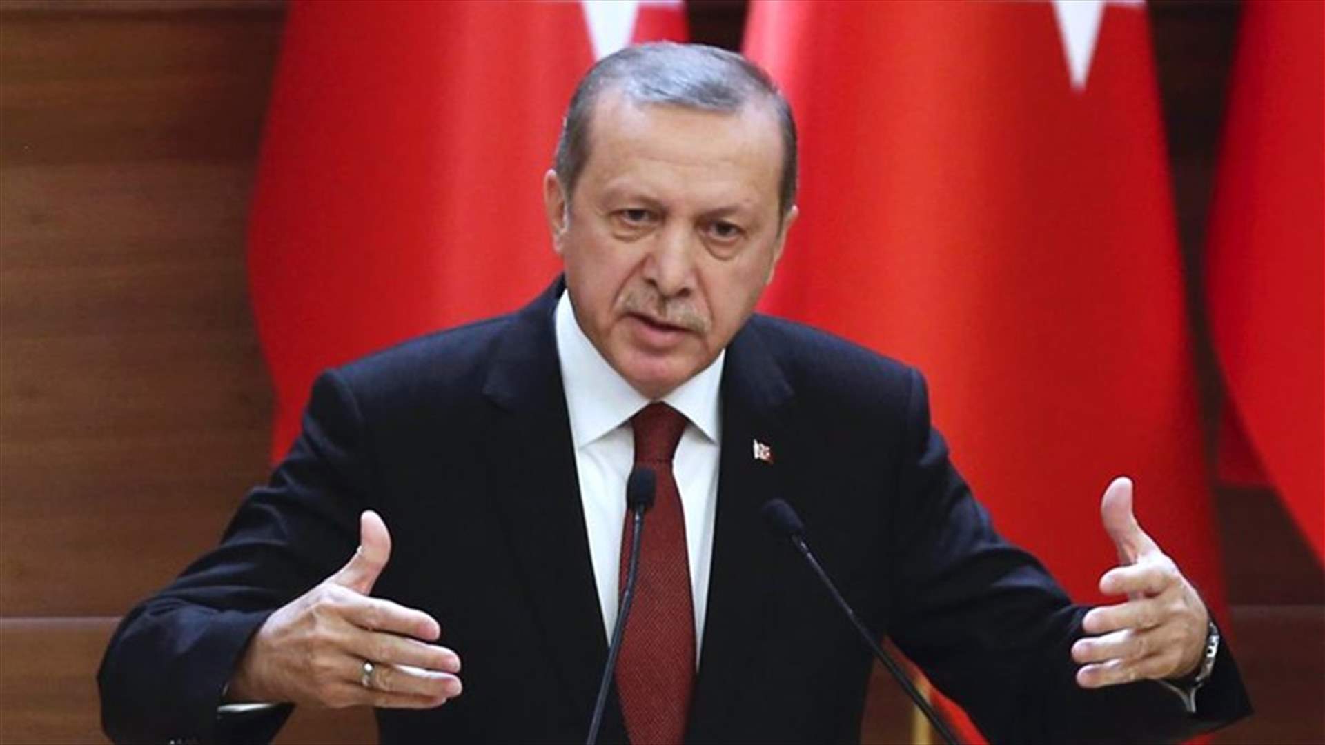 Turkey's Erdogan says Iraq cannot handle Mosul assault alone   