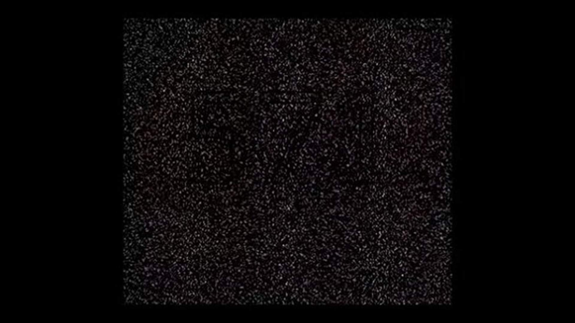 هل تستطيعون رؤية الرقم الفعلي في هذه الصورة؟