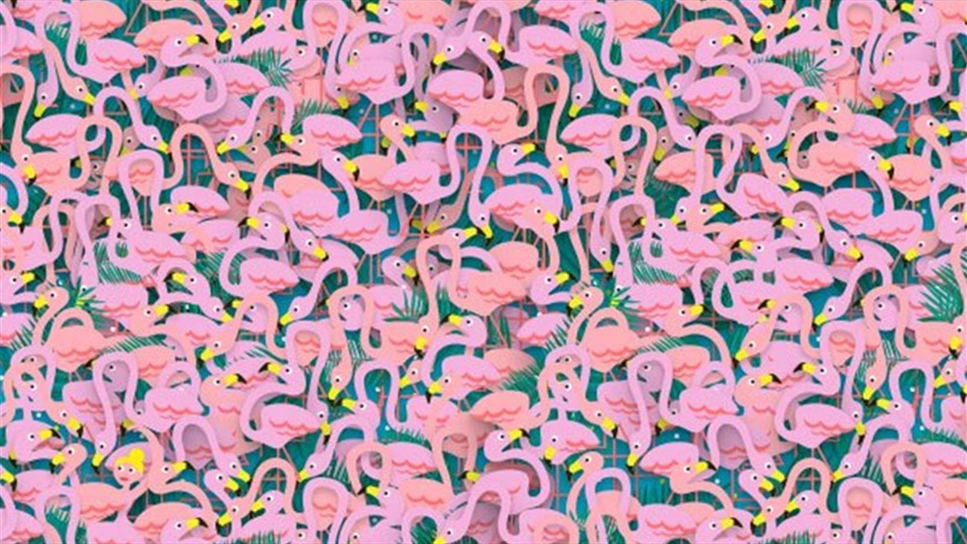 Can you spot the ballerina in this flock of flamingos?