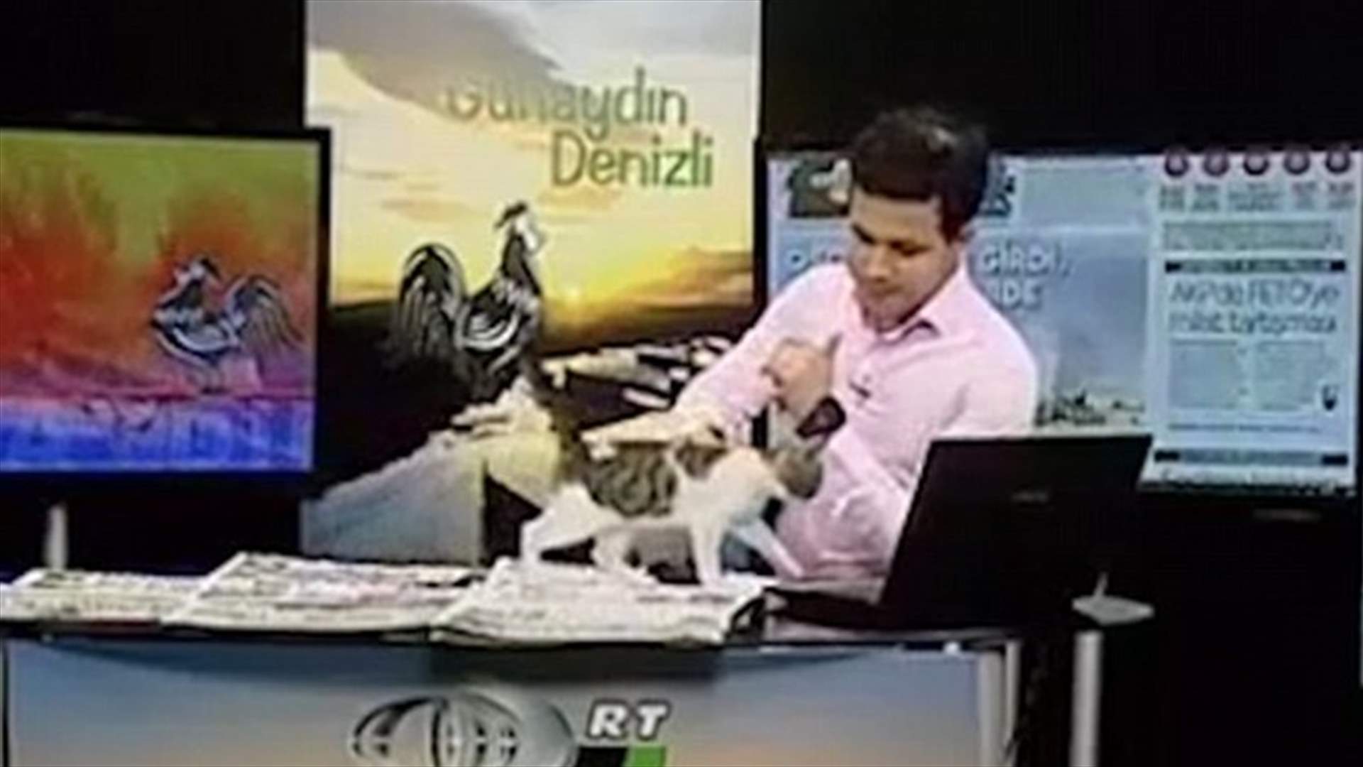 بالفيديو: قطّة تقتحم البرنامج الصباحيّ وتفاجئ المشاهدين!