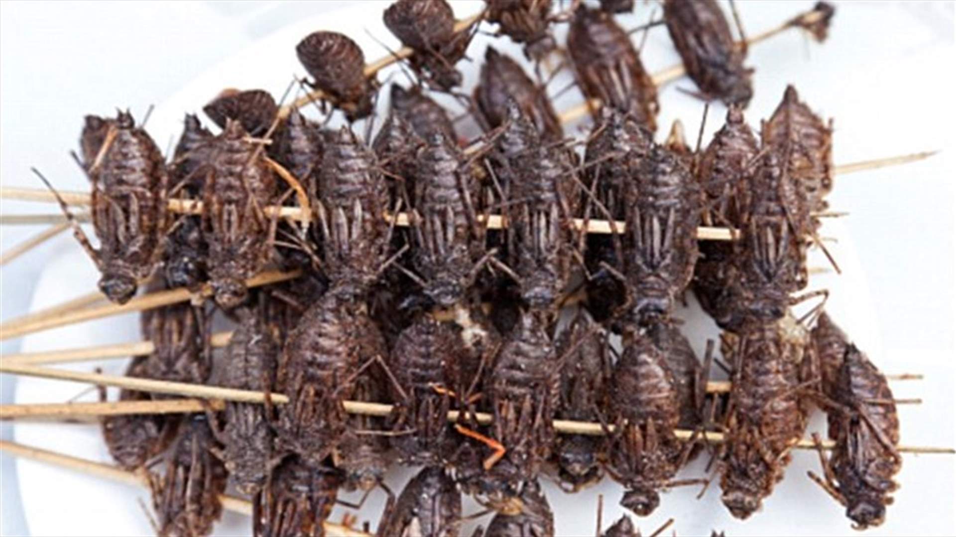 الحشرات غنيّة بالحديد وقد تكون أفضل من اللحوم!