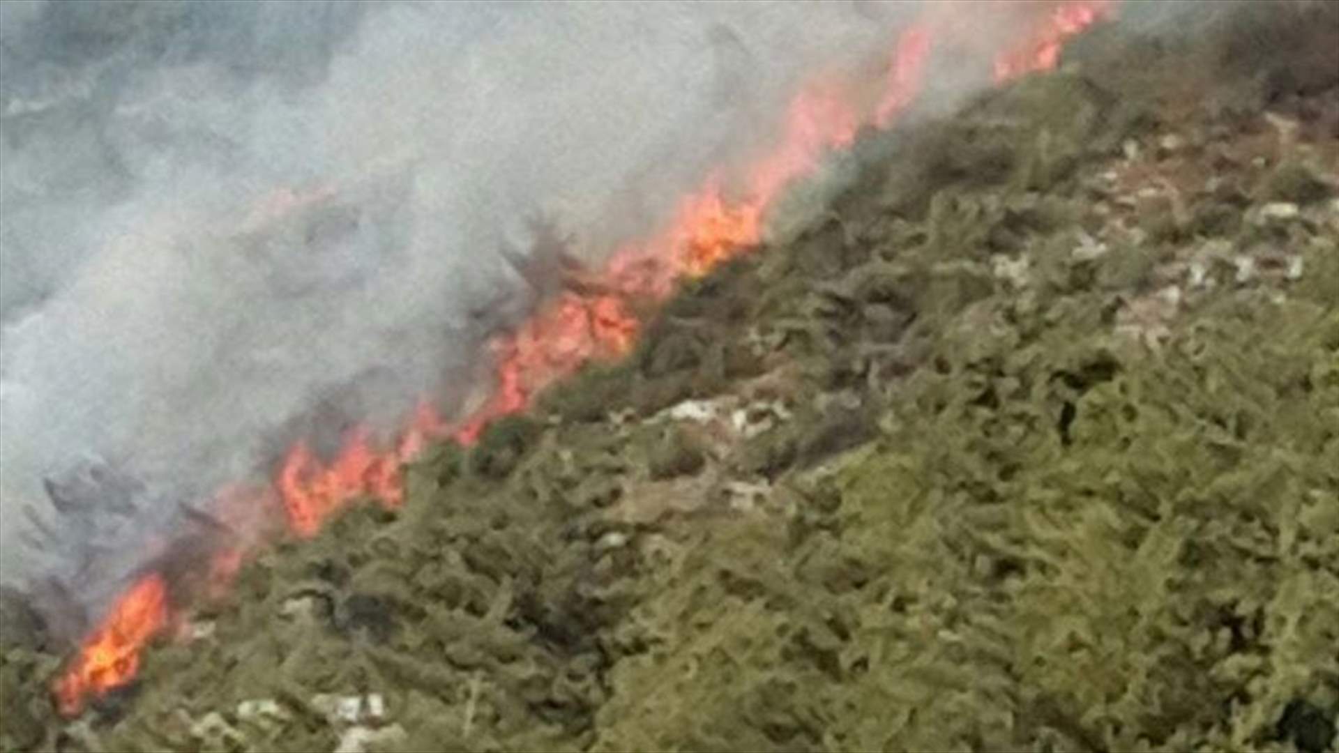 النيران تشتعل مجددا في احراج الكفرون في قبعيت