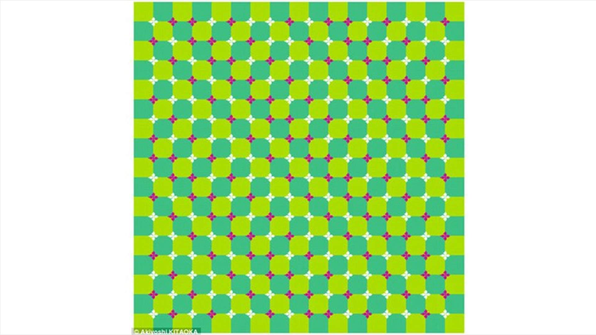 هل هذه الصورة فعلاً متحرّكة؟