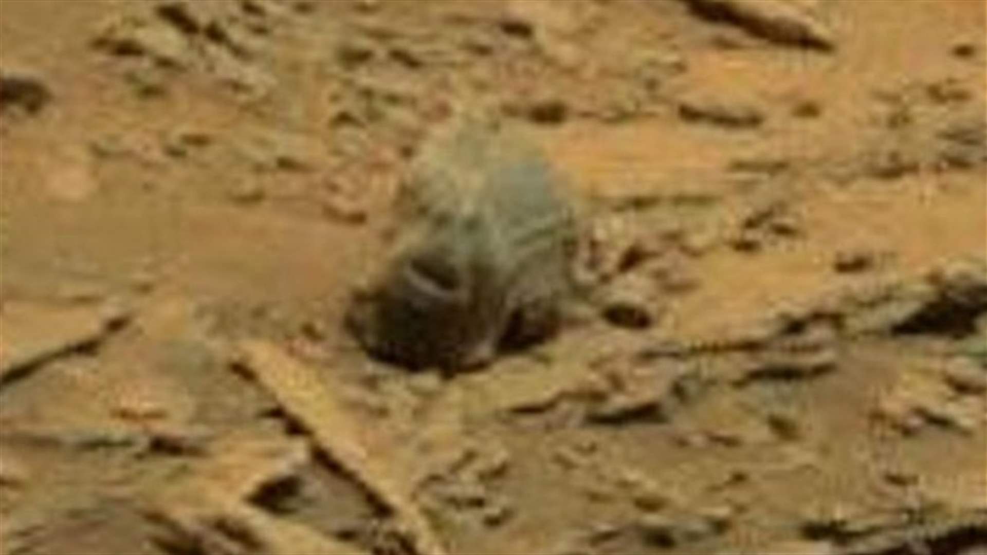 بالفيديو: اكتشاف بقايا أحفوريّة لمخلوق غريبٍ على سطح المريخ
