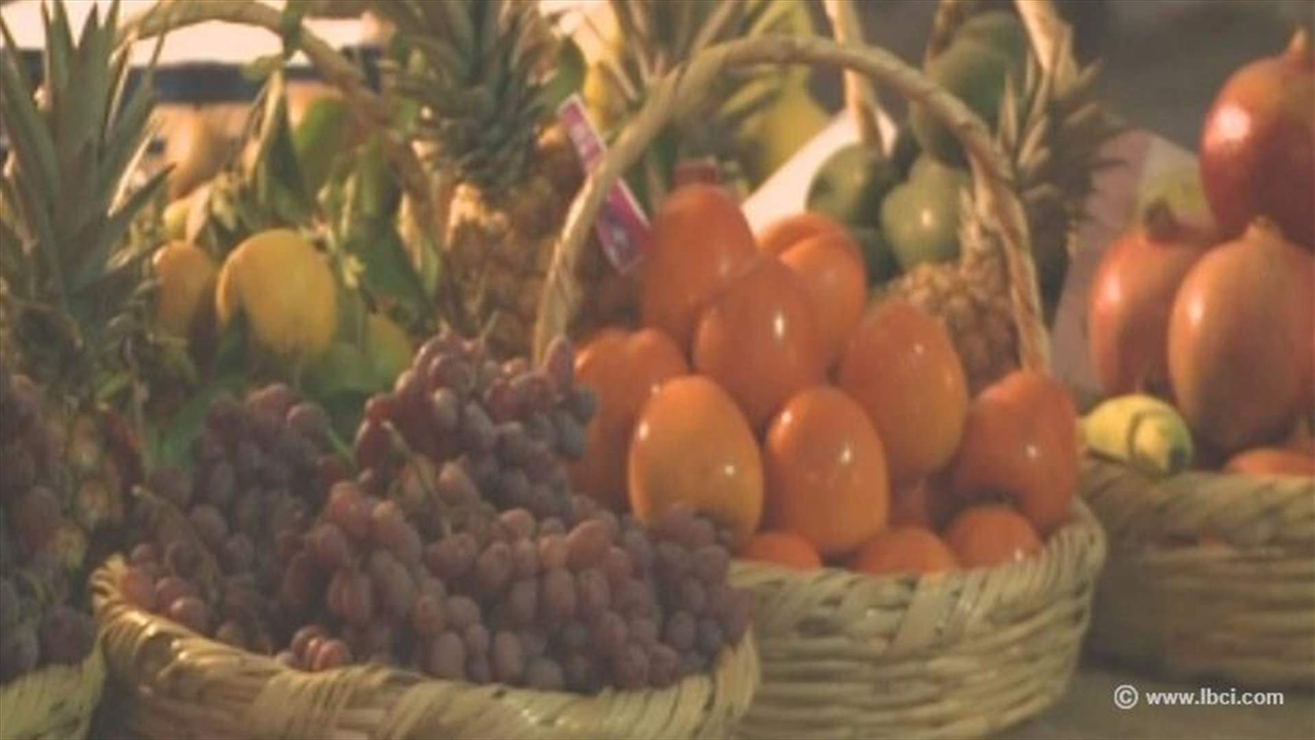 معرض لتشجيع المزارع اللبناني في أنطلياس 