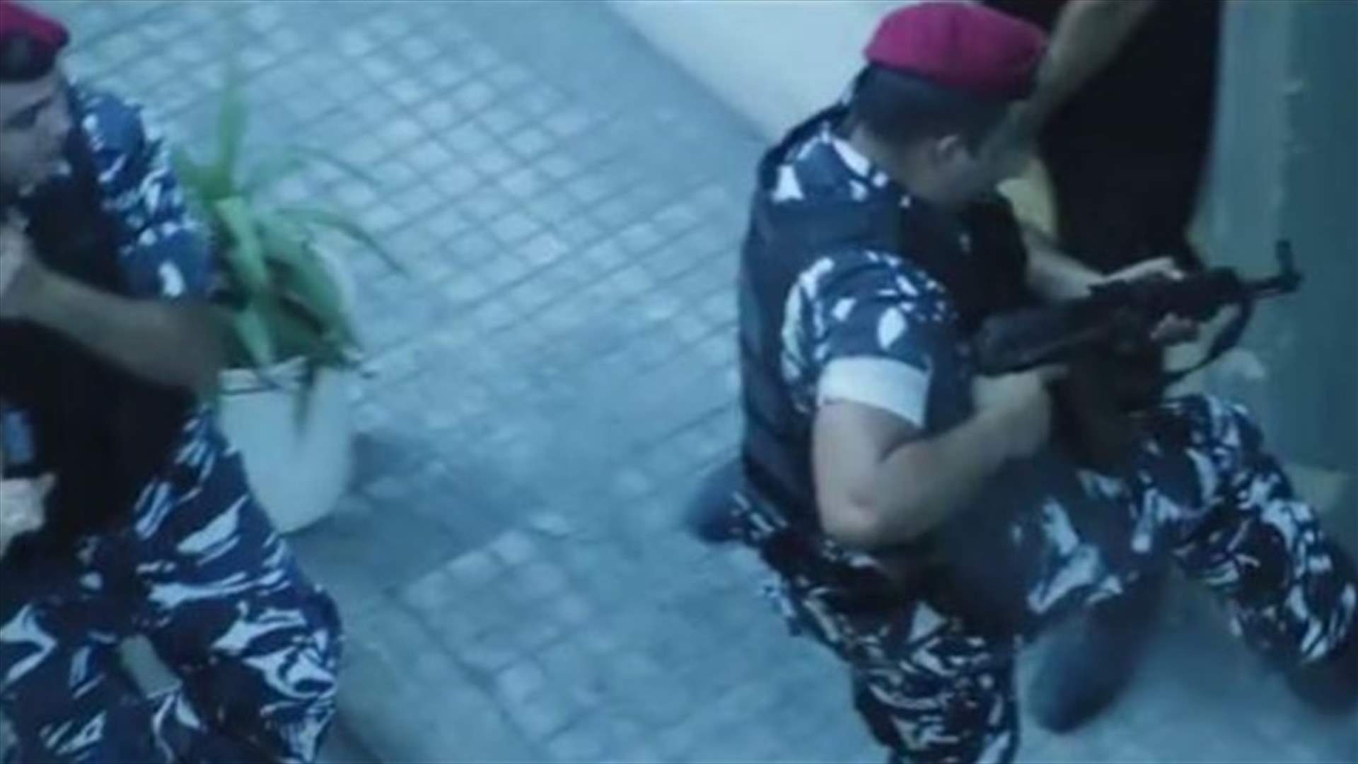 بالفيديو: الشرطة تلاحق إليسا في برج حمود