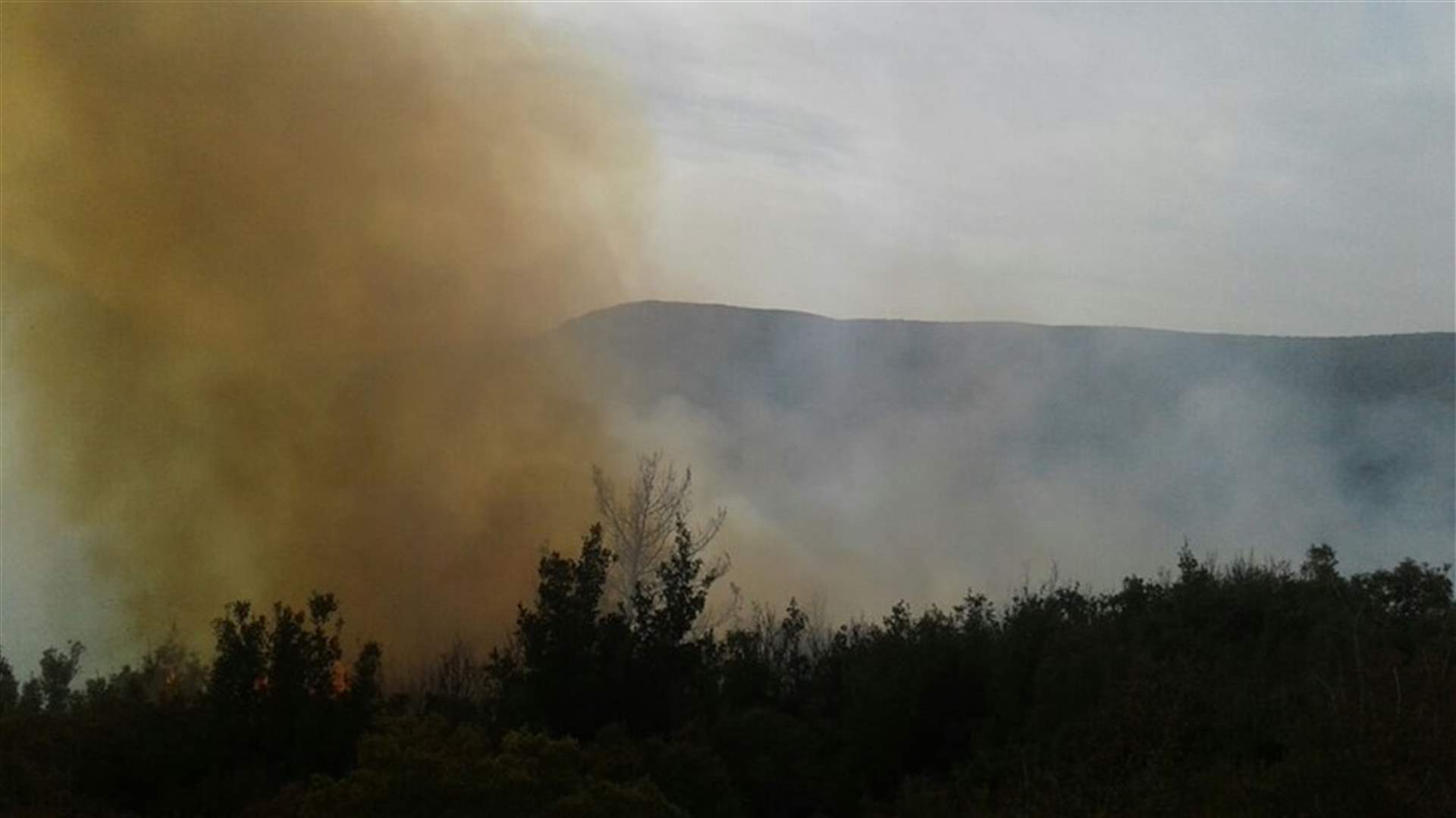 بالصور...حريق كبير في خراج بلدة قبعيت