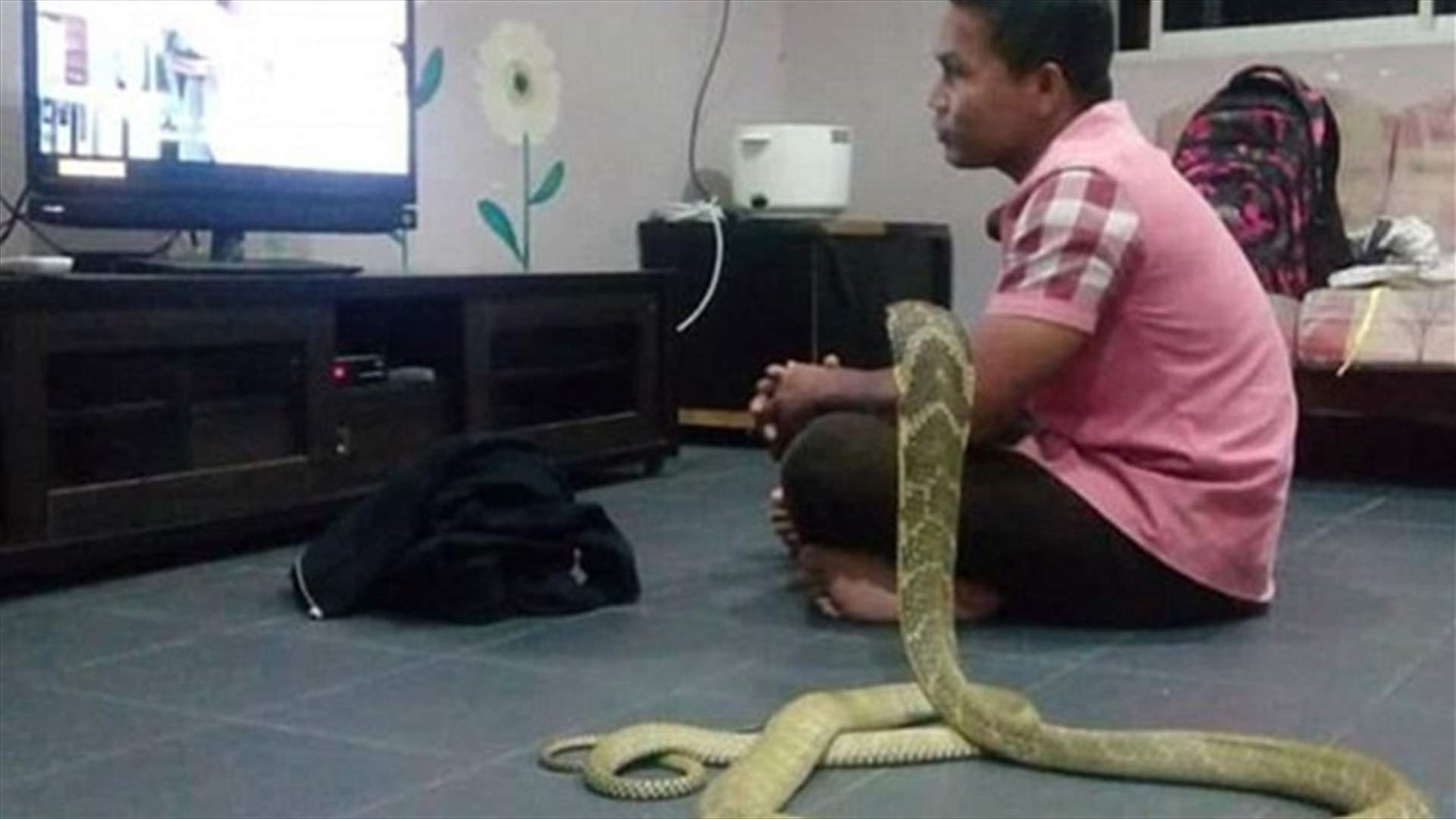 بالصور: رجل أعلن زواجه من كوبرا... فما السبب؟