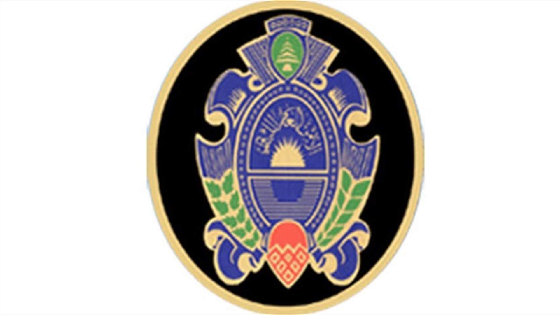 General Security arrests two Syrians for working with terrorist groups