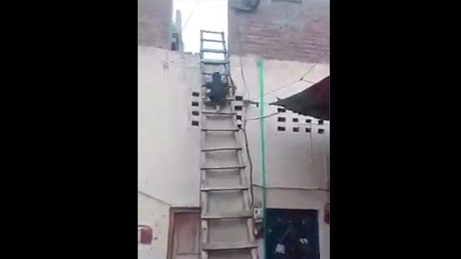 بالفيديو: طفل لا يتعدى عمره الثلاث سنوات ينزل السلالم بسرعة فائقة!