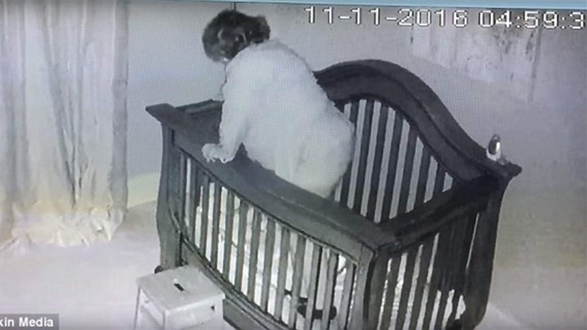 كاميرا المراقبة تلتقط أغرب حادثة بين جدّةٍ وحفيدها