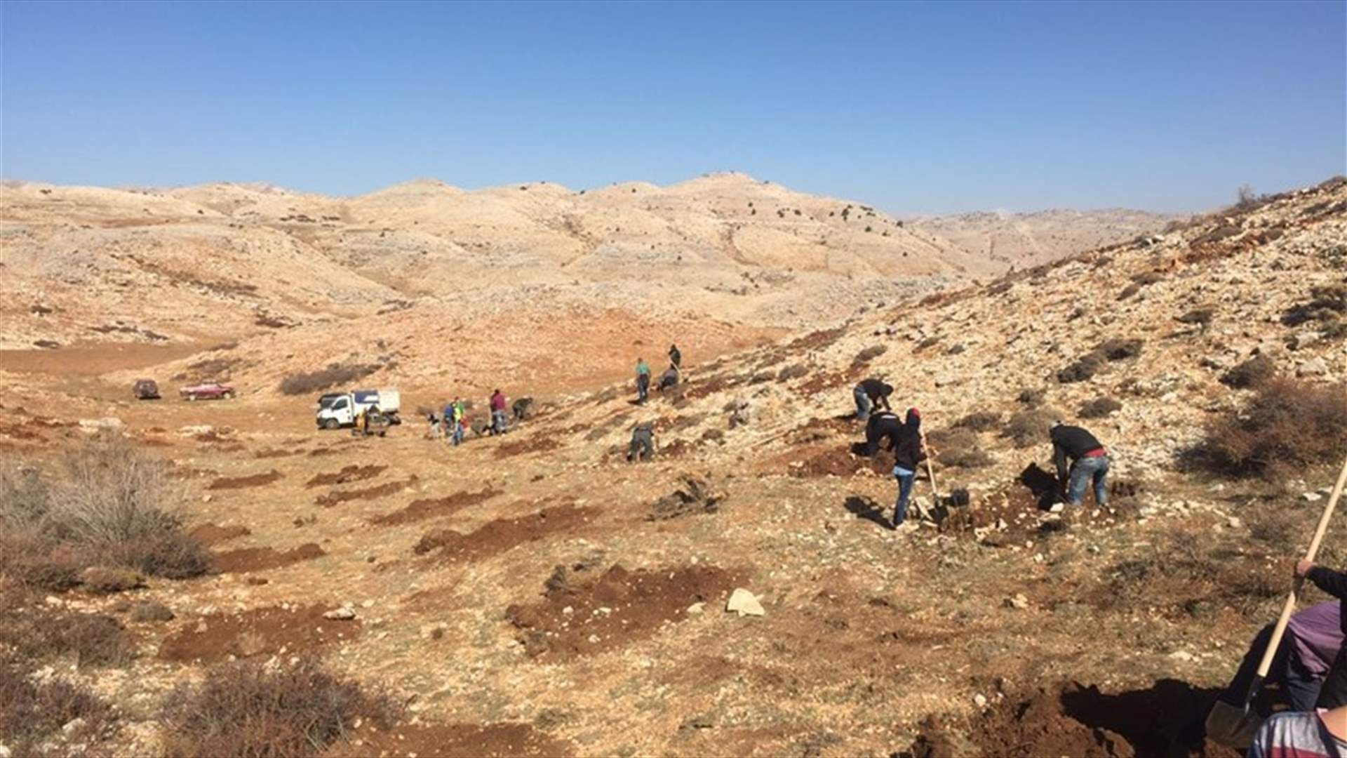 يوم تحريج في العاقورة.... لاعادة احياء غابات لبنان