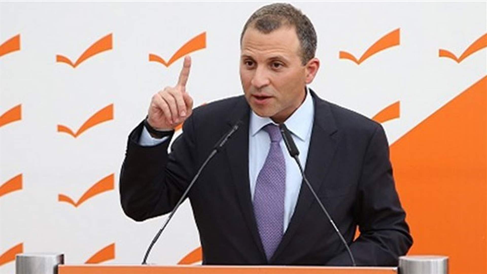 Bassil says parliamentary elections must be main goal of new cabinet 