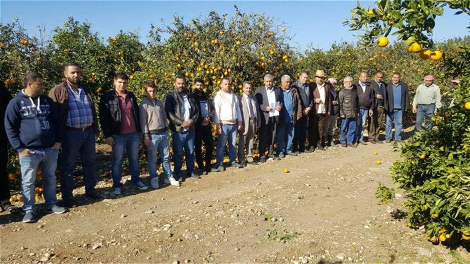 بالصور-  مزارعو الحمضيات  في عكار يعتصمون .... ويهددون بالتصعيد 