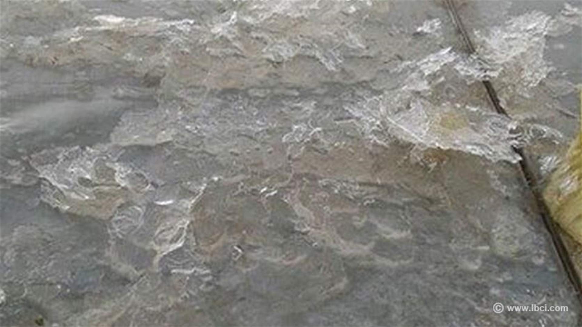 Frost damages crops in Akkar plain