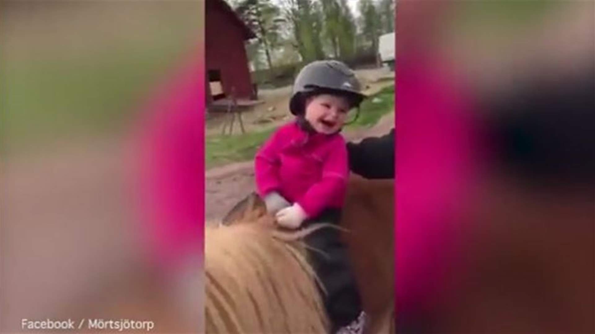 بالفيديو: طفلة تصاب بنوبة ضحكٍ غريبة عند ركوب الخيل!