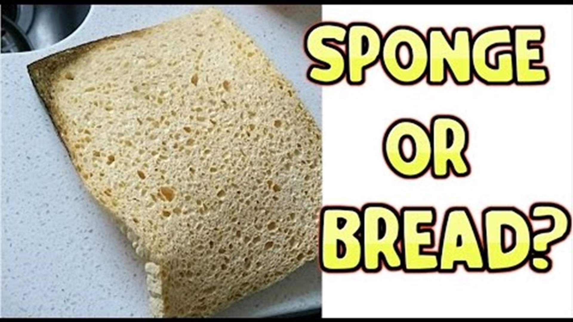 هل هذه اسفنجة أو قطعة خبز؟