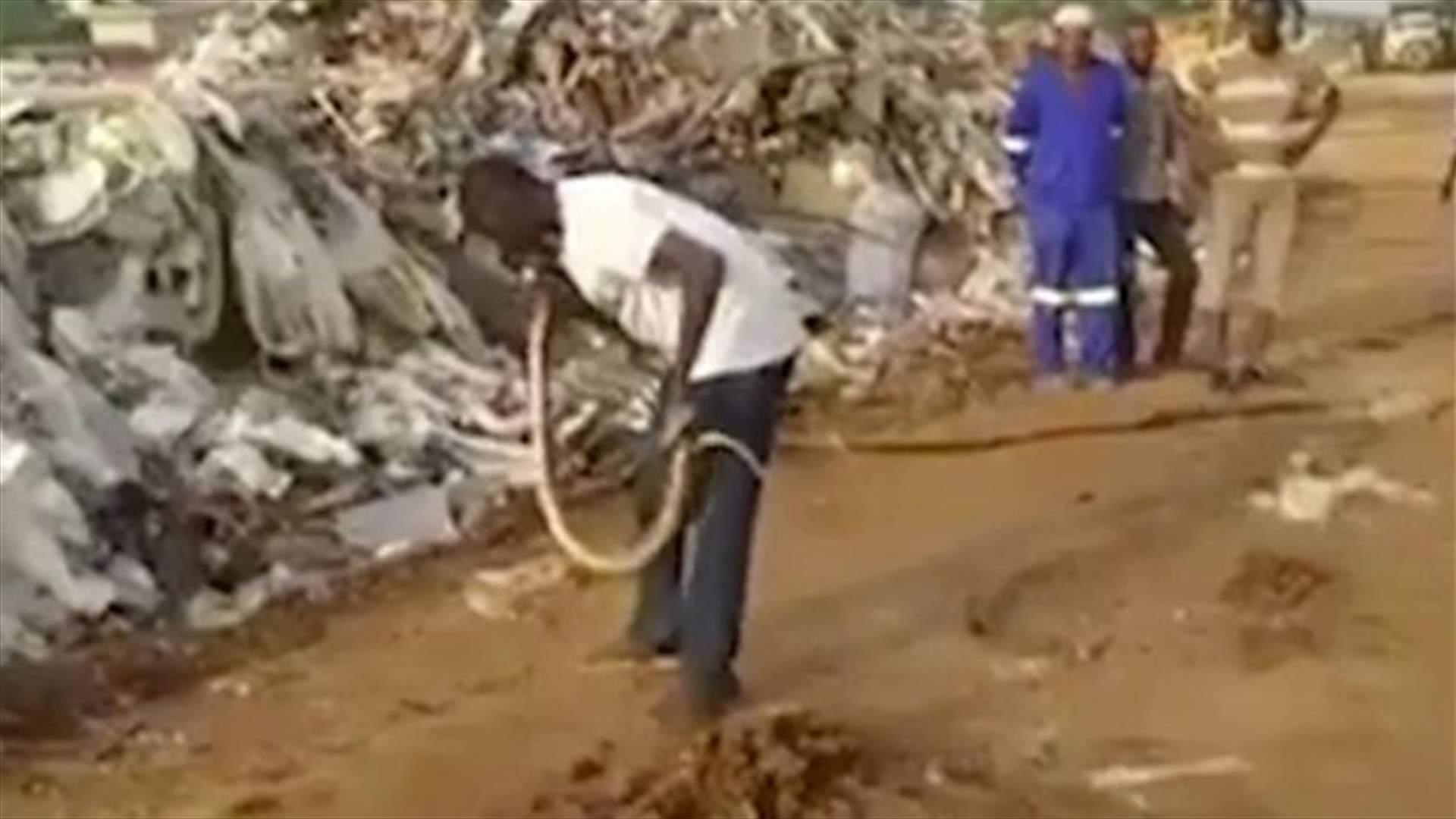 VIDEO: Bizarre 'Snake Charmer' Catches Reptile With Bare Hands, Then Puts It To Sleep