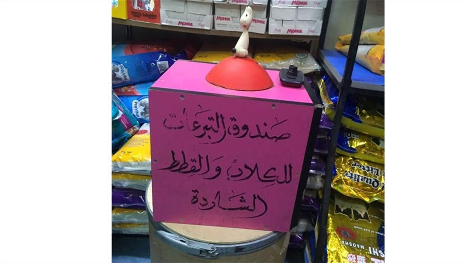 بالصور: هذه المذيعة مجنونة ؟