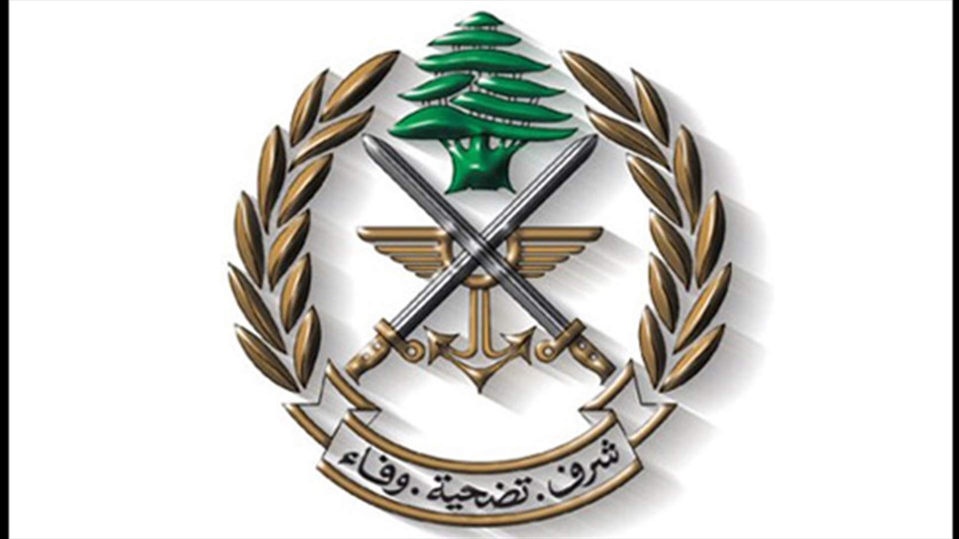 بالأسماء...هؤلاء هم الموقوفون من مطلقي النار