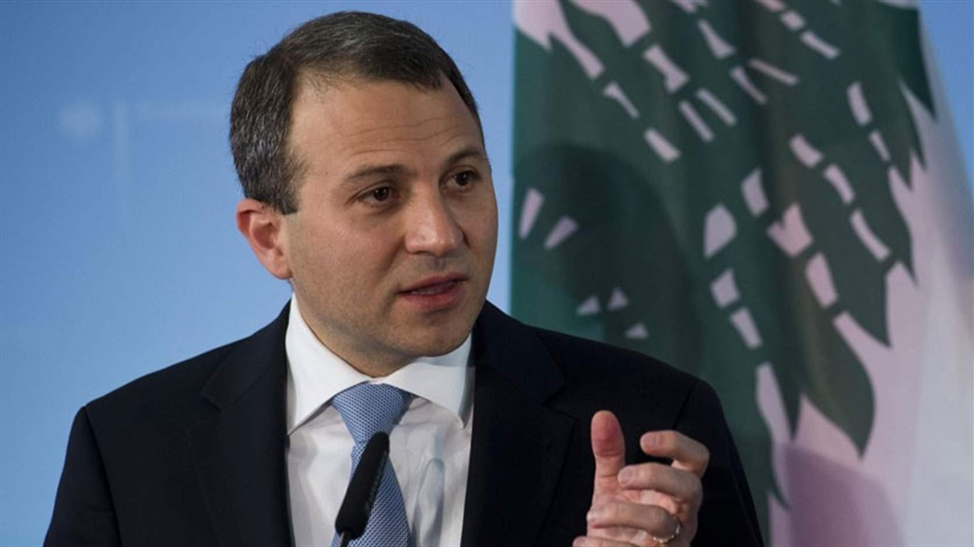 باسيل: الحكومة التي تشكل حاليا انتقالية