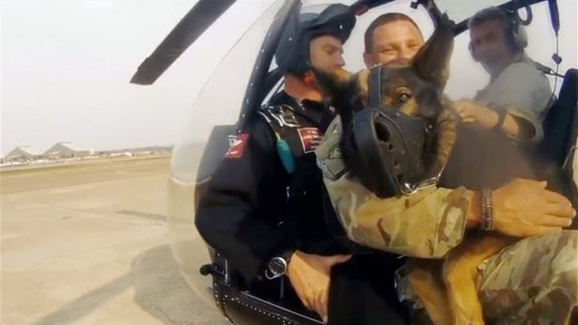 First Ever Skydiving Dog Snaps Up Guinness World Record