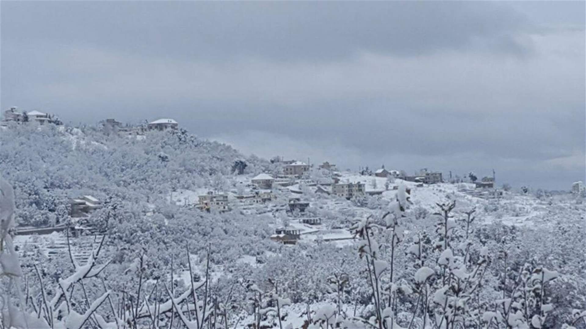 بالصور- مشاهد رائعة من كفردبيان وحراجل اليوم...