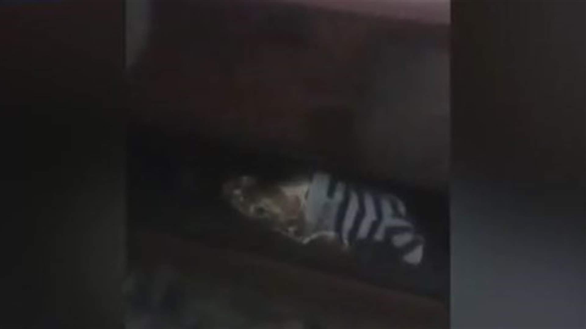 بالفيديو: ساعة من الرعب تحت عجلات القطار... كيف نجت من الموت؟