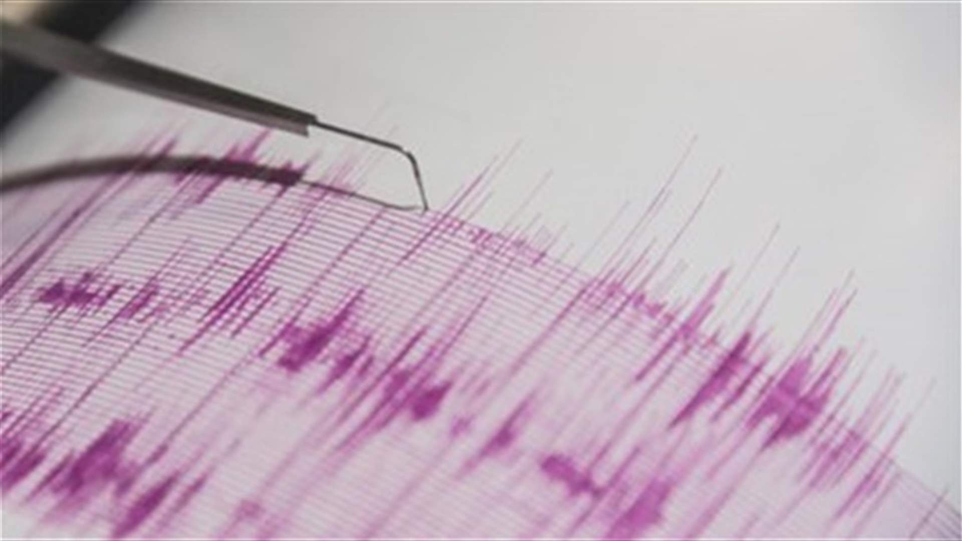 Quake rattles southern Iran, four Afghan laborers killed - TV   