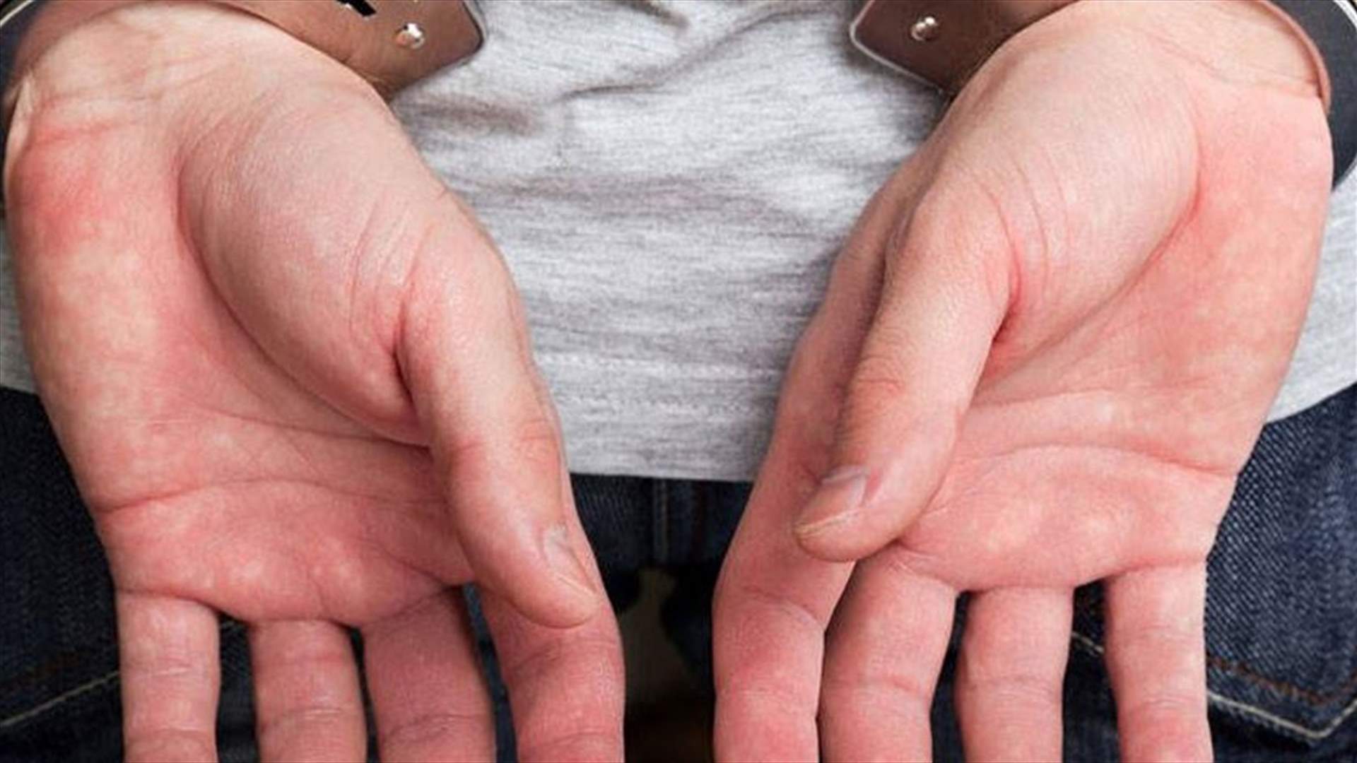 توقيف لبناني اعترف بإنتمائه الى تنظيم ارهابي
