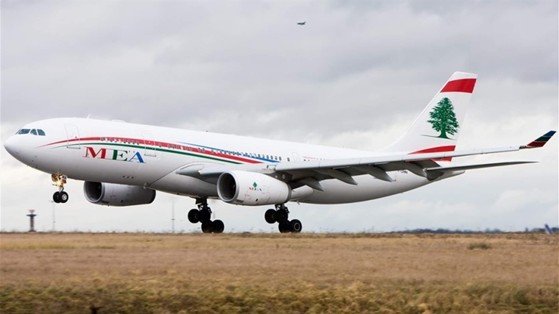 MEA plane encounters large flock of birds during landing in Beirut airport