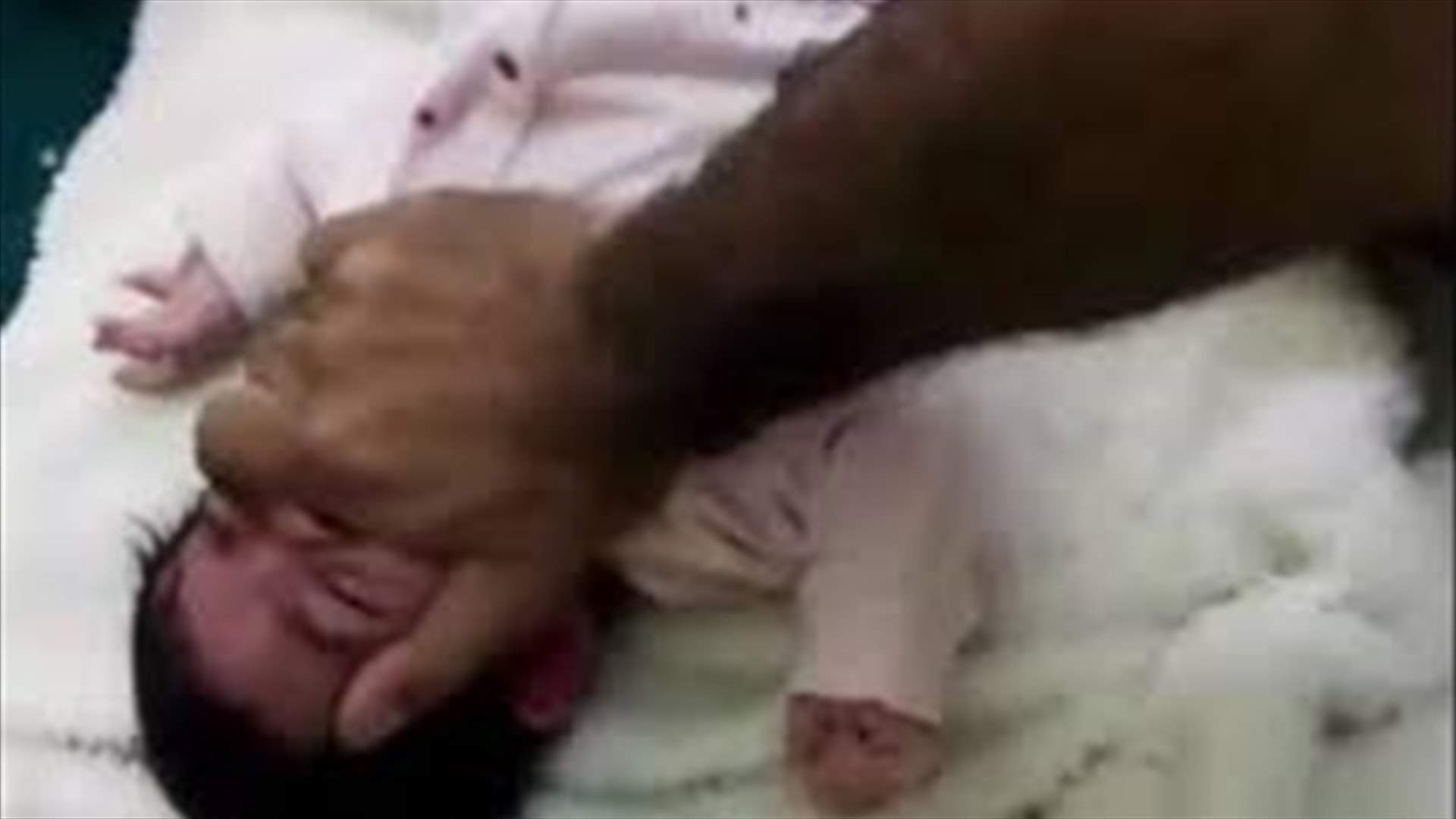 سعودي عذّب رضيعته بوحشيّة لإغاظة زوجته السابقة... والفيديو يُغضب روّاد الانترنت