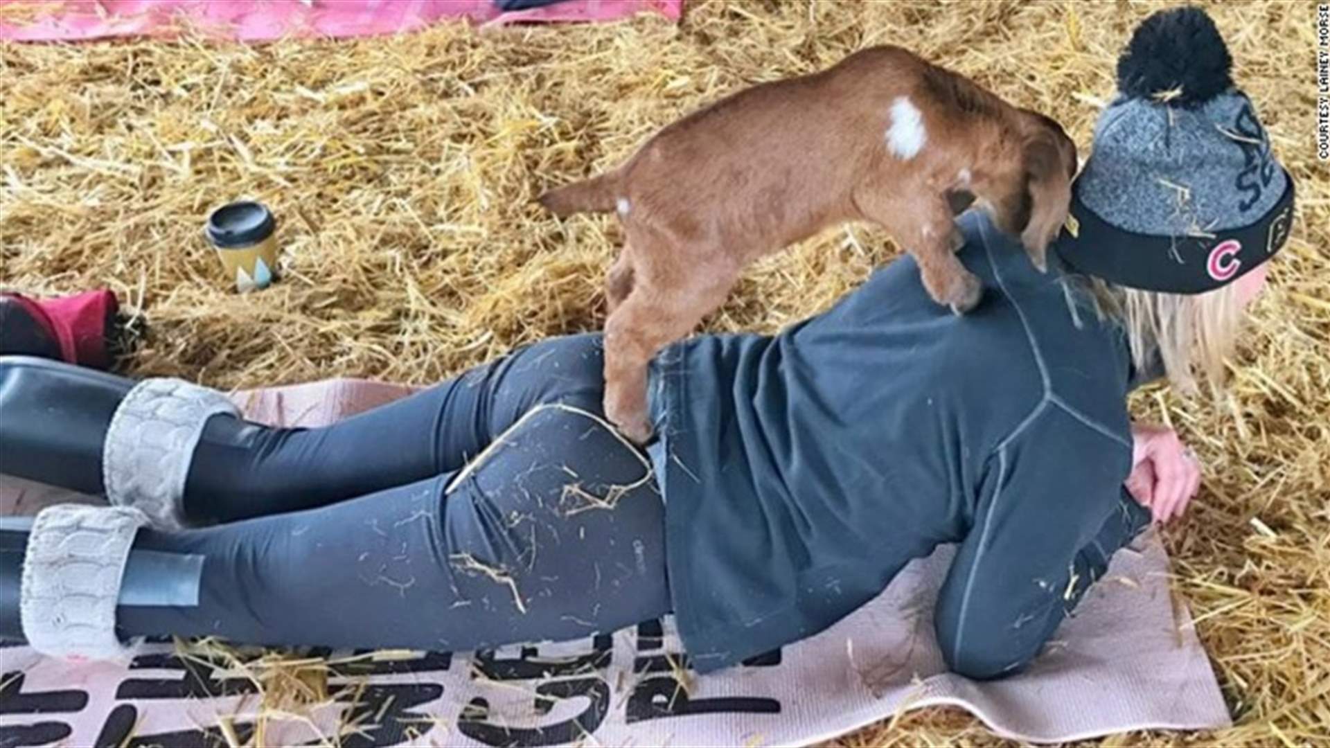 What Is 'Goat Yoga'?