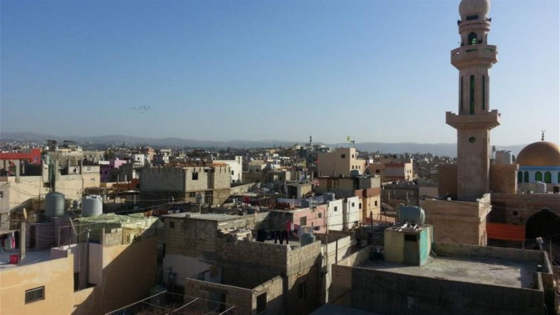  6 فلسطينيين سلموا انفسهم الى الجيش