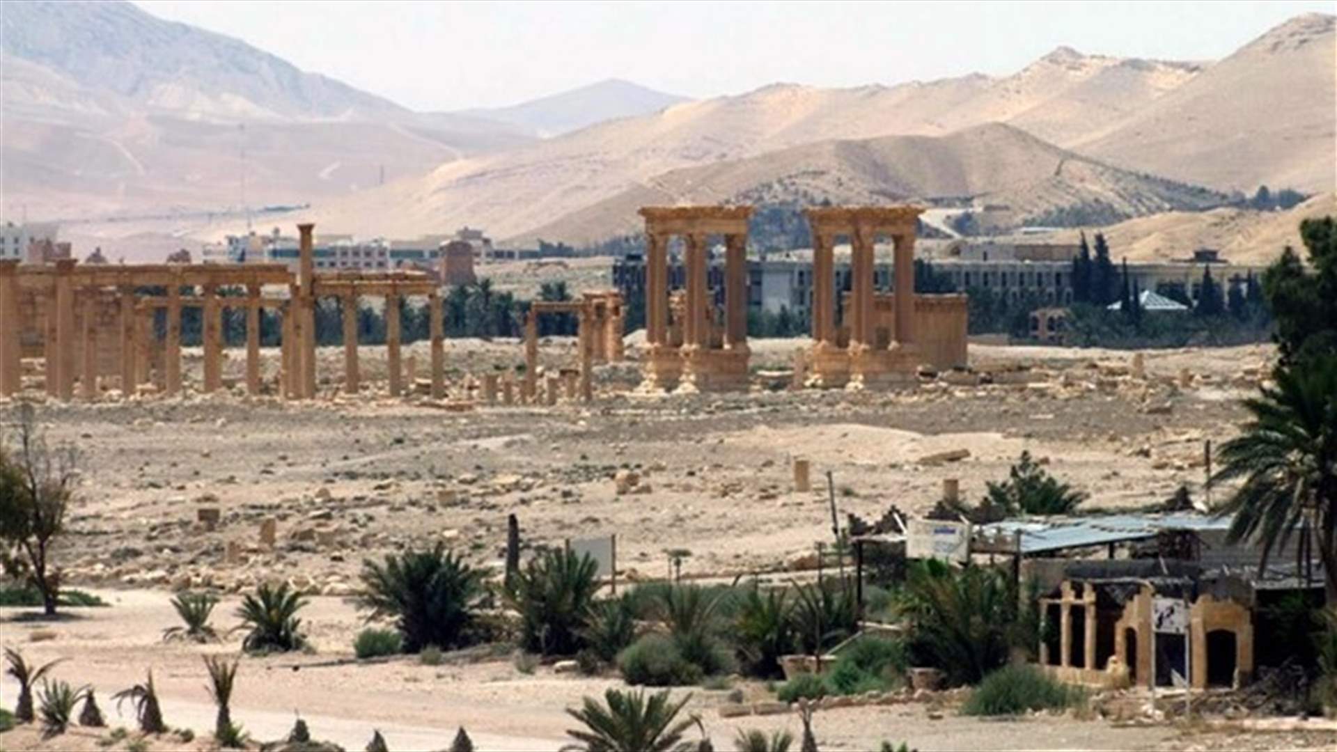 Islamic State kills 12 in Palmyra, among them teachers, soldiers - monitor